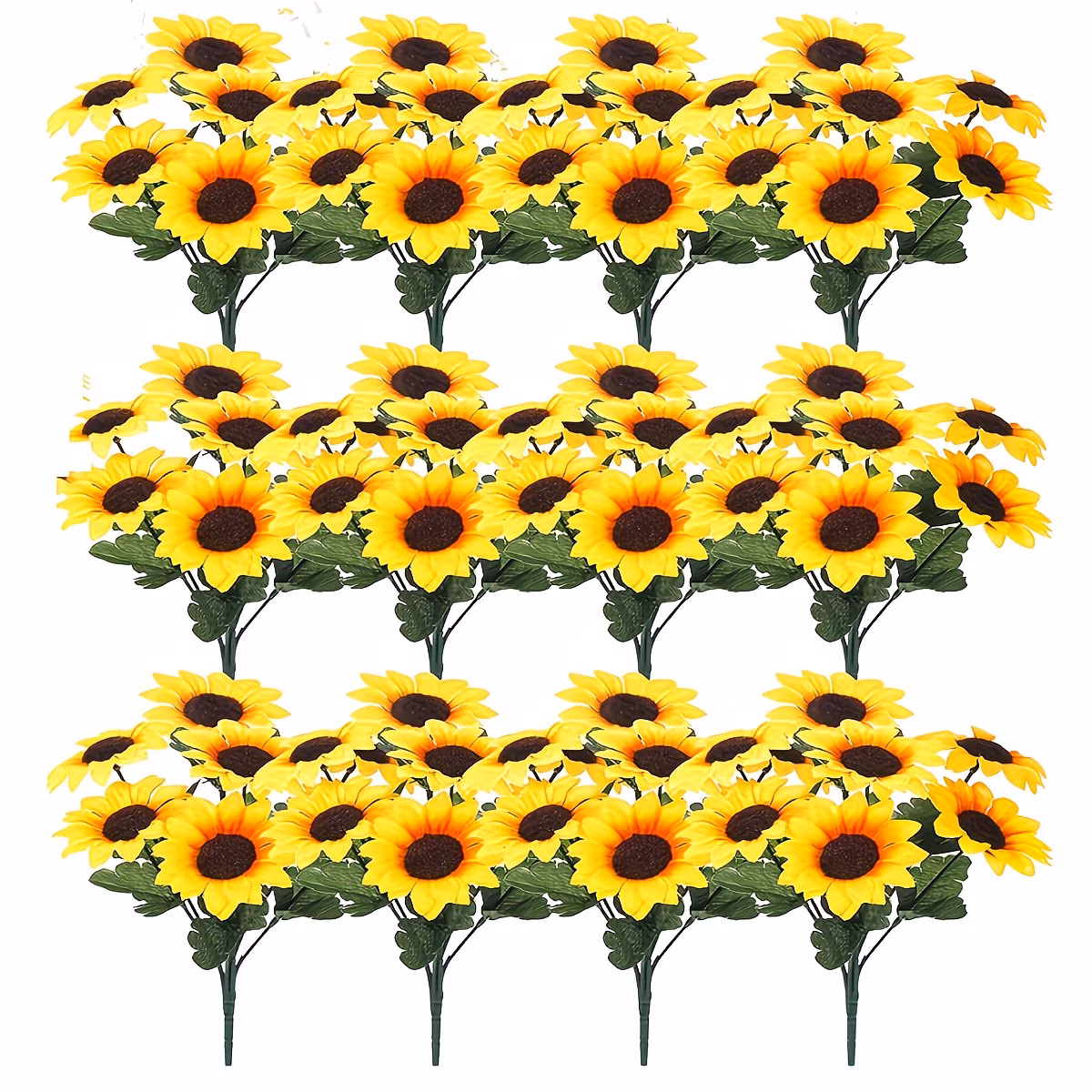 Girasol