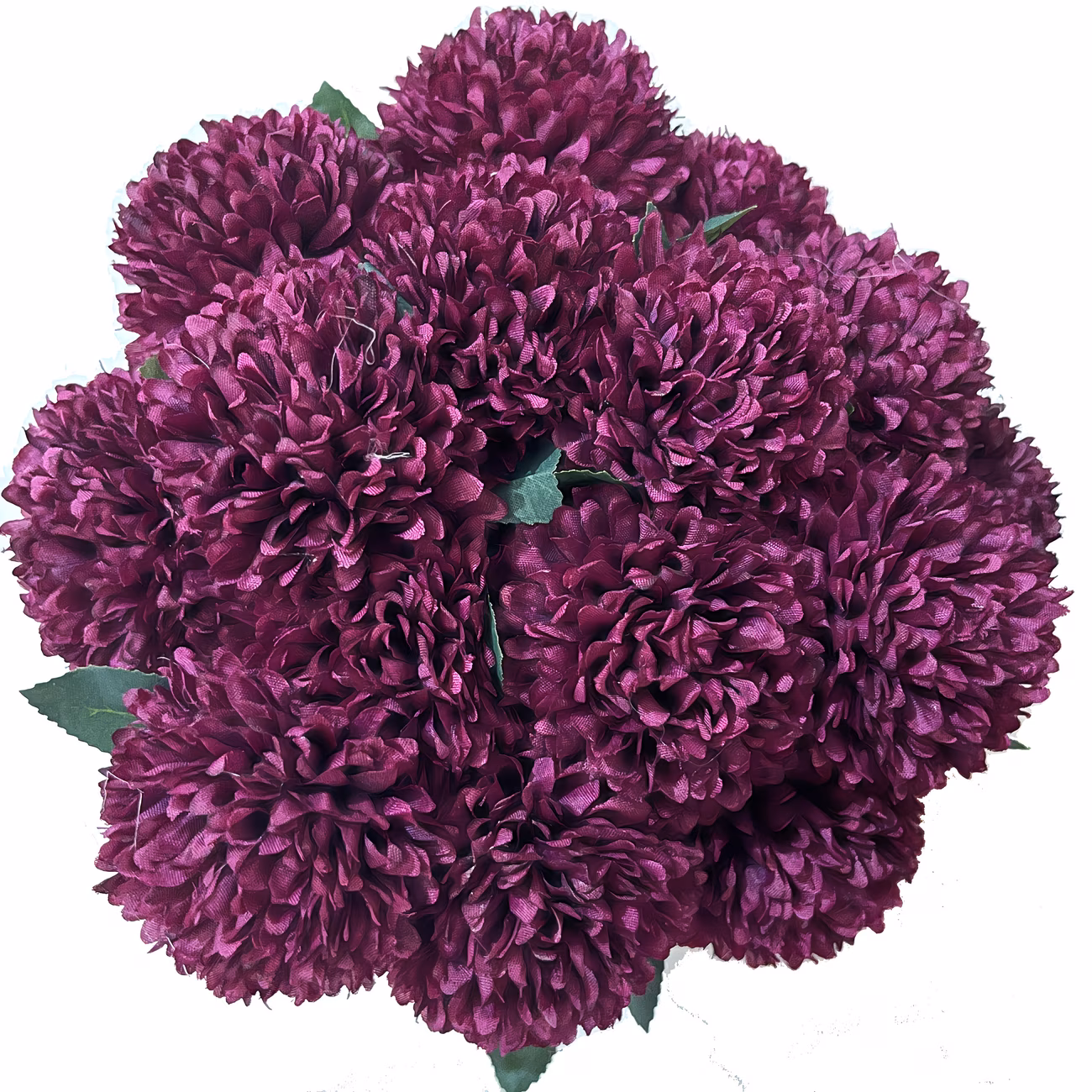 Flor de cempasúchil morada