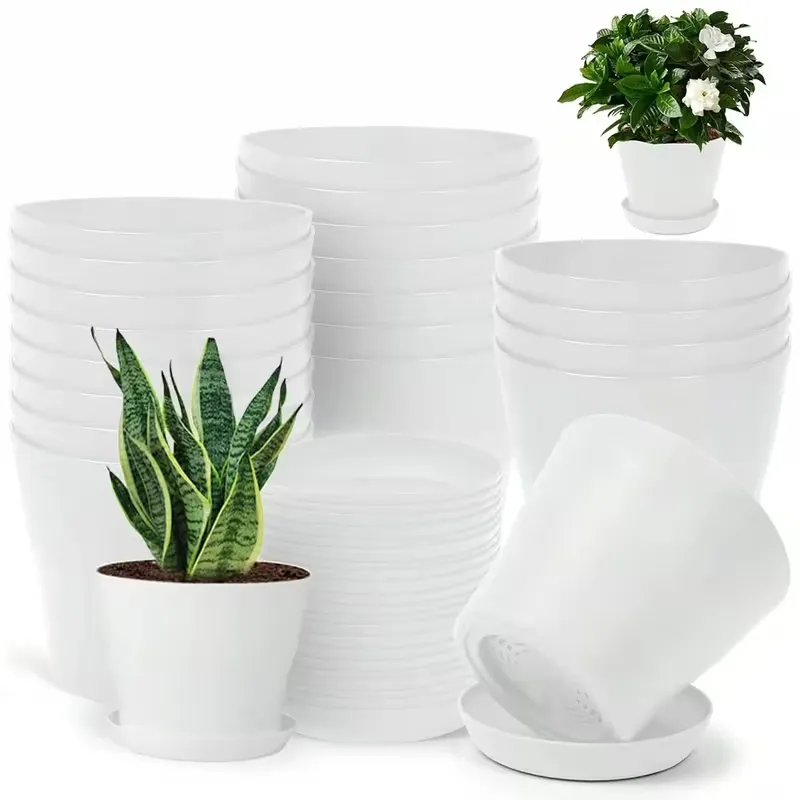 Maceta Blanca